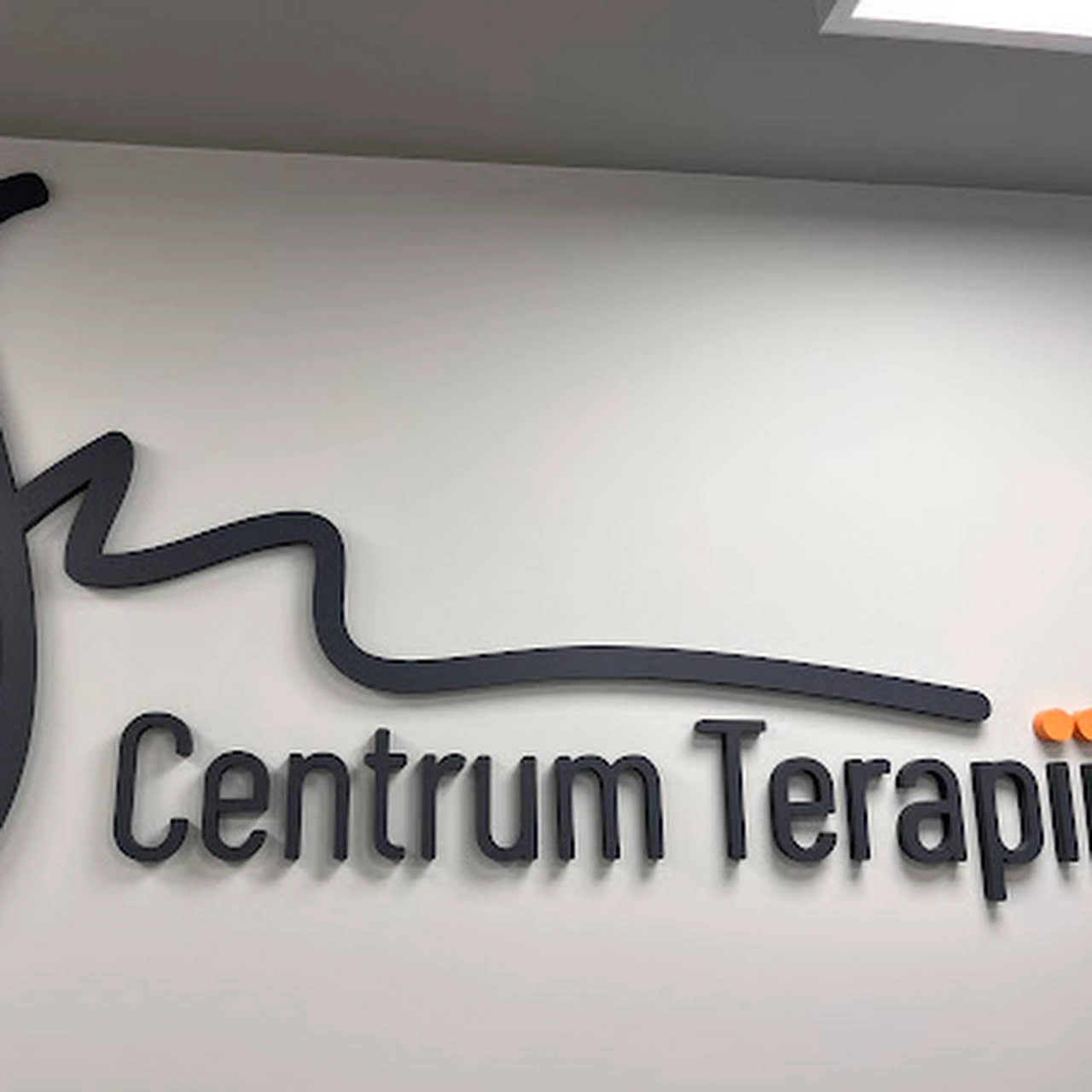 Centrum Terapii logo